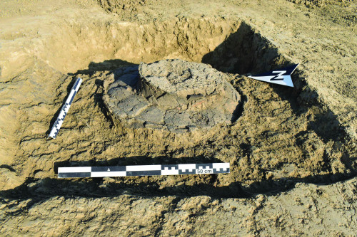 Fig. 4. Târgșoru Vechi, jud. Prahova – „Balastiera Holcim” – urnă bitronconică pântecoasă.